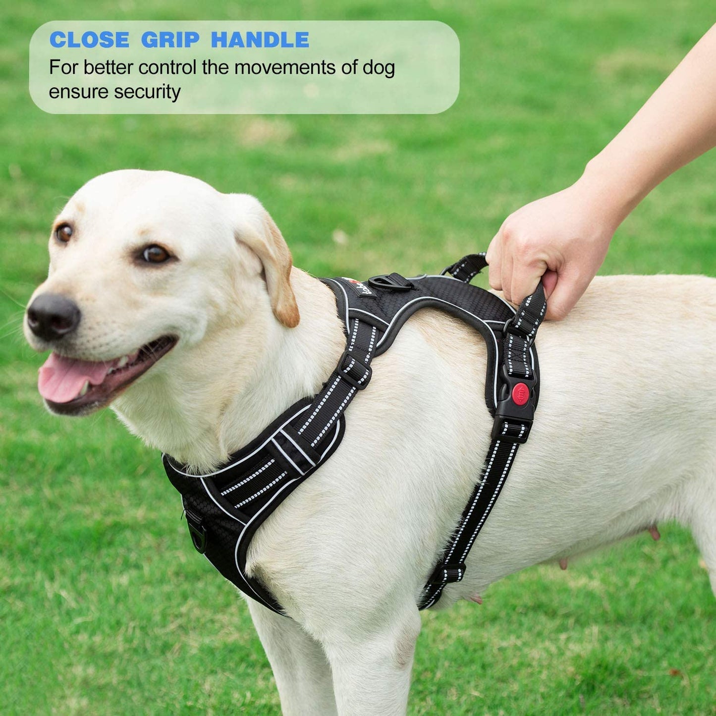 Ultimate No Pull Dog Harness with Reflective Oxford Design and Free 5Ft Leash - Adjustable for Medium to Large Dogs (Size S, Blue)