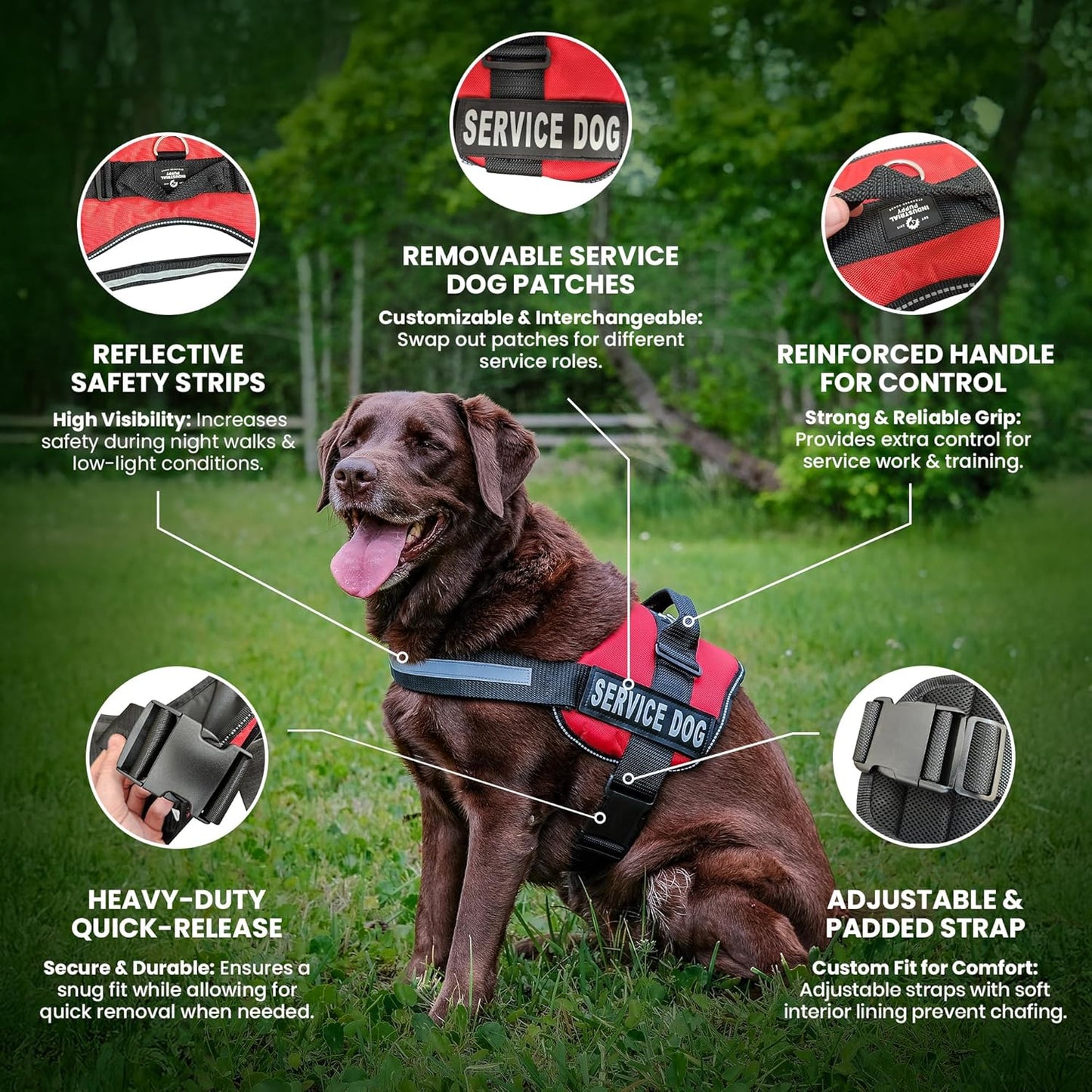 Premium Hot Pink Service Dog Vest and Leash Set - Comfortable, Durable, and Reflective Harness for All Breeds - Sizes XXS to XXL Available