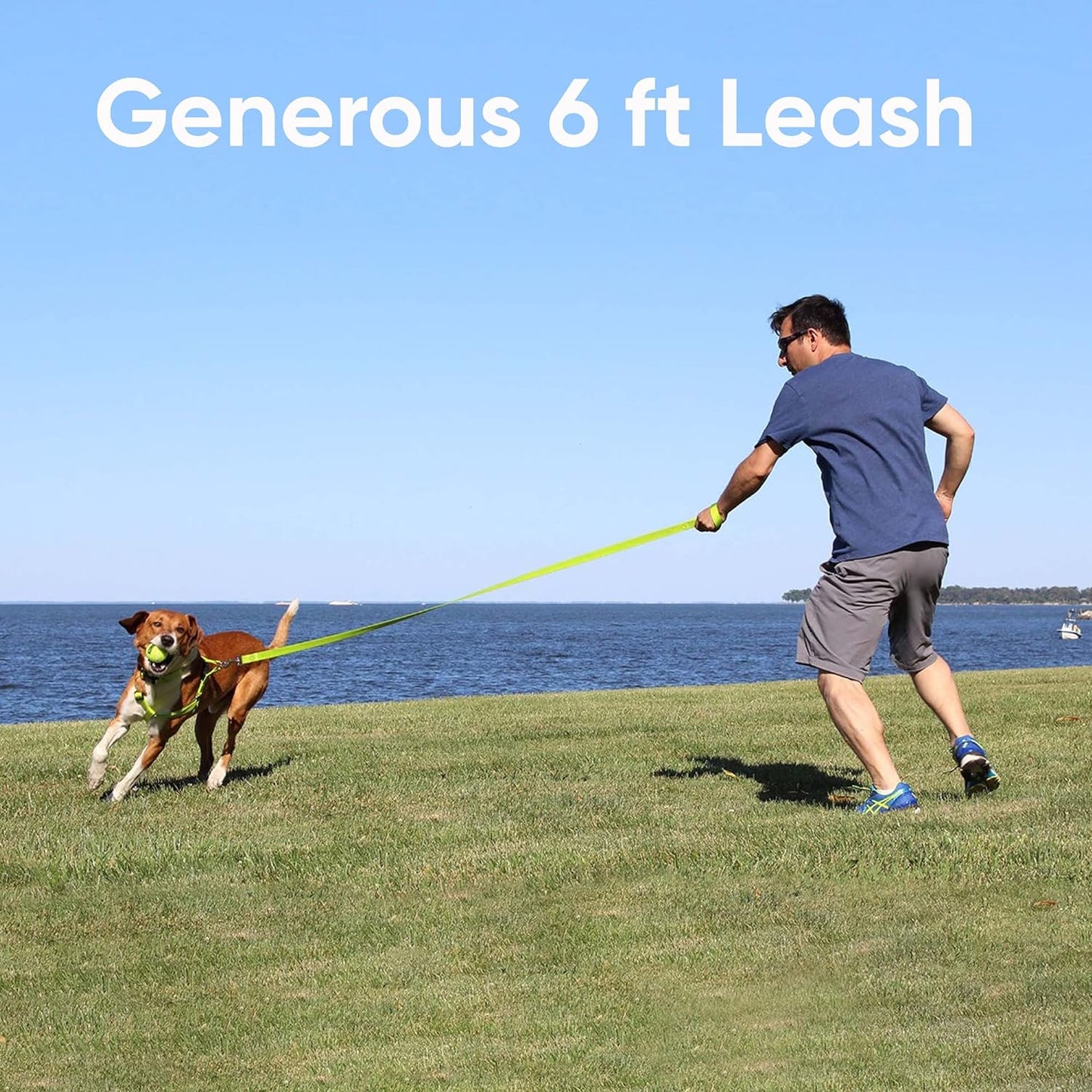 Reflective Extra Small/Small 6 Ft Dog Leash - Ideal for Puppies and Small Breeds, Matching Collar and Harness Available Separately