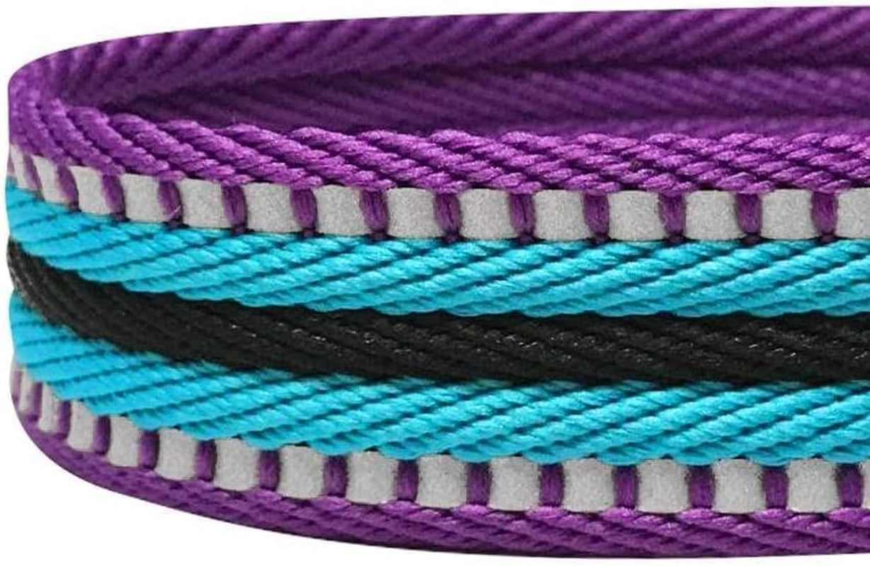 Dog Leash - Reflective Dog Leash for Active Adventures, Puppy Essentials, Durable Dog Leashes for Large Dogs Heavy Duty, Gentle Leader for Dogs, Small Dogs, Violet & Celeste