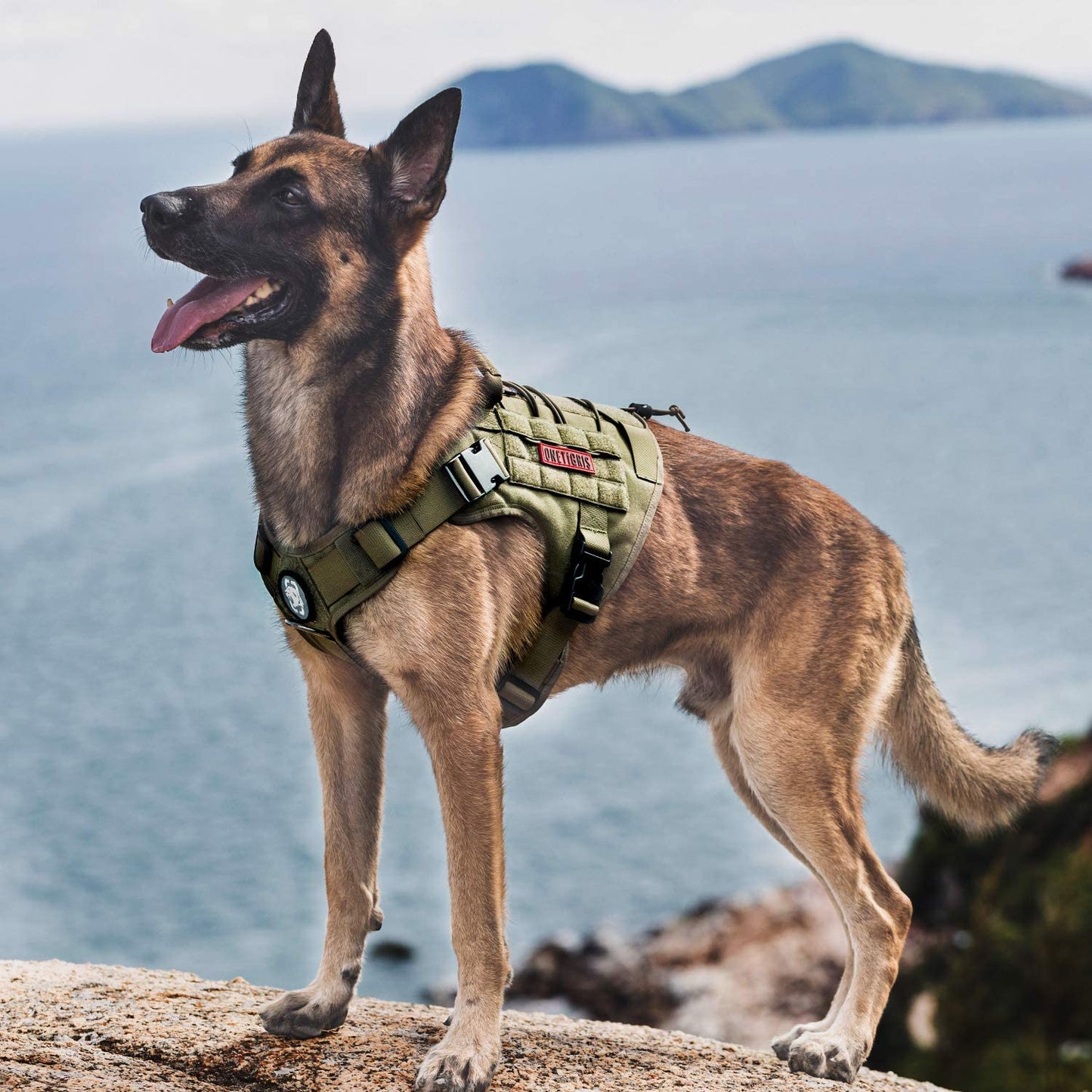 Tactical No-Pull Dog Harness - Adjustable, Breathable Vest with Handle for Outdoor Adventures (Ranger Green, Small)