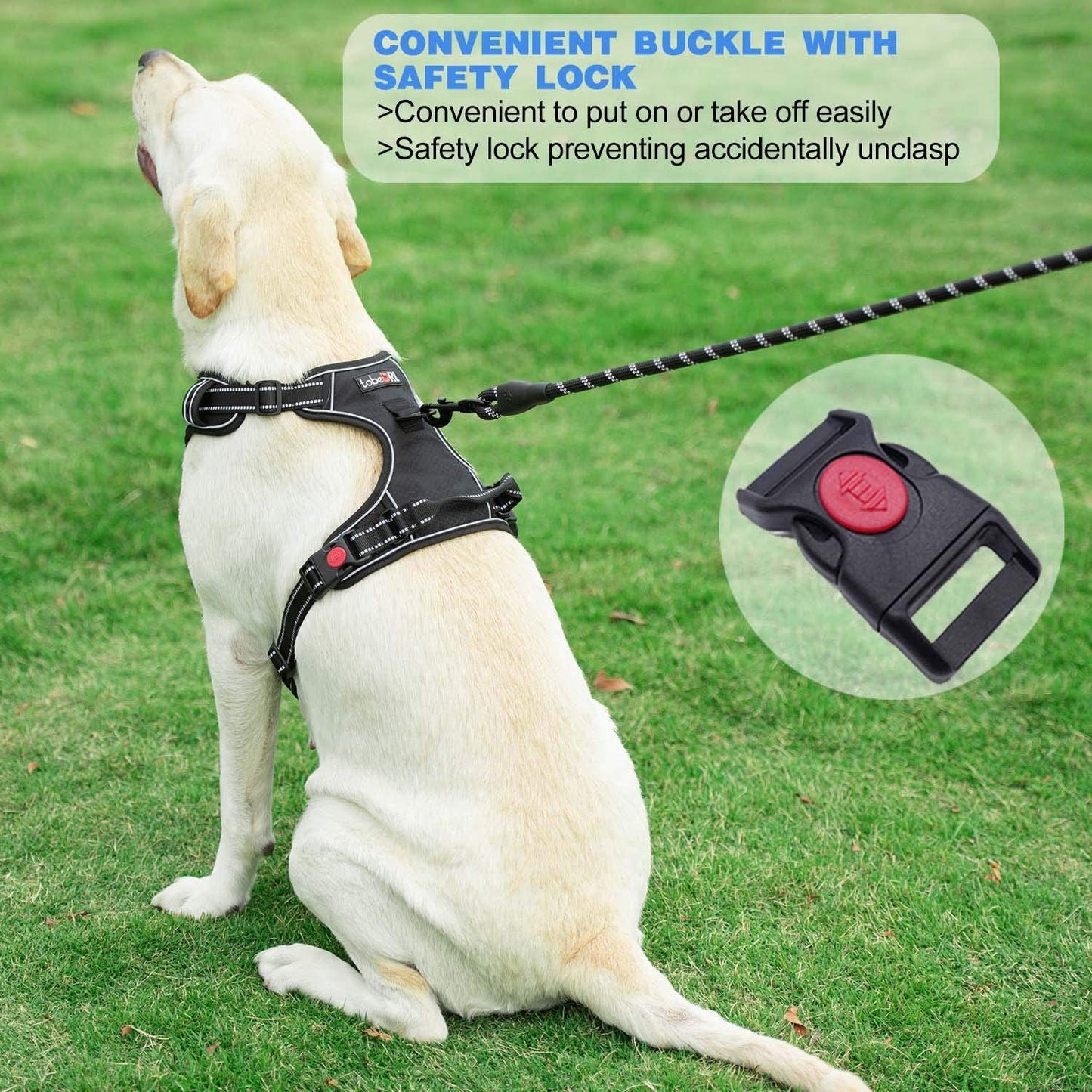 Ultimate No Pull Dog Harness with Reflective Oxford Design and Free 5Ft Leash - Adjustable for Medium to Large Dogs (Size S, Blue)