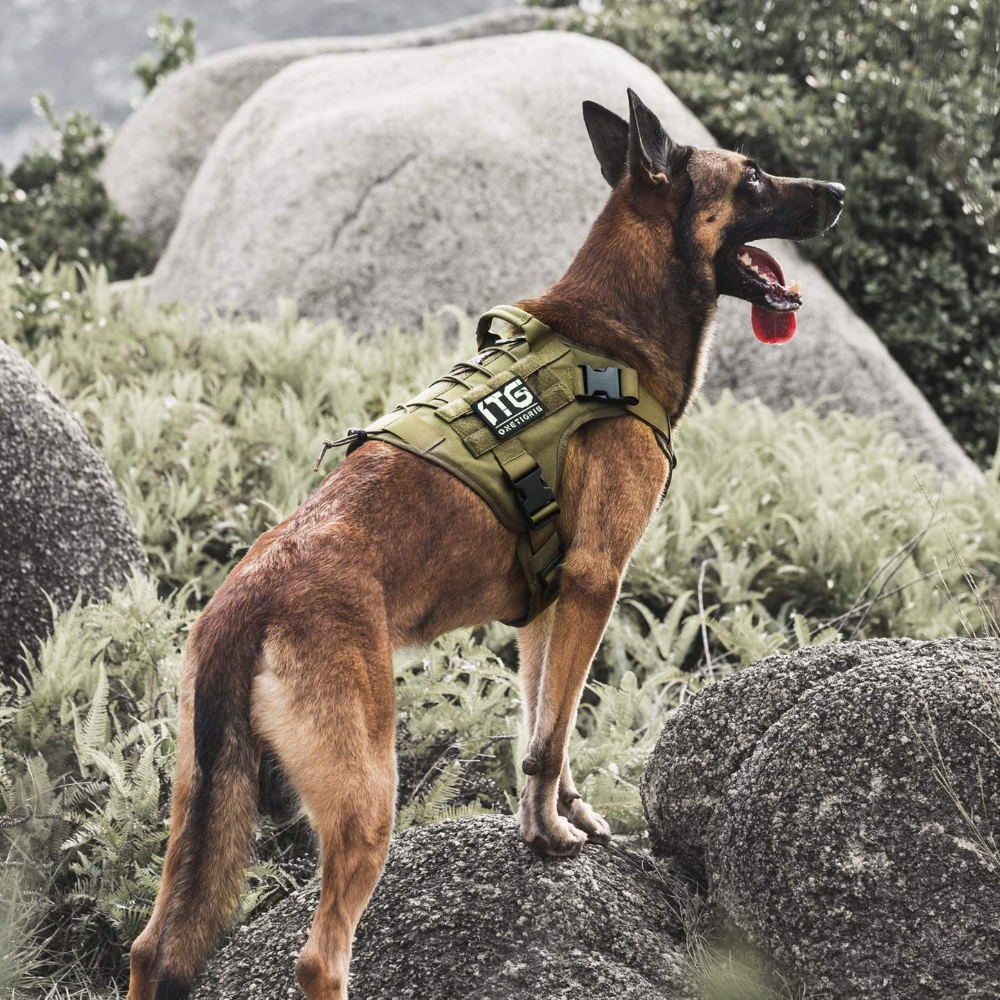 Tactical No-Pull Dog Harness - Adjustable, Breathable Vest with Handle for Outdoor Adventures (Ranger Green, Small)