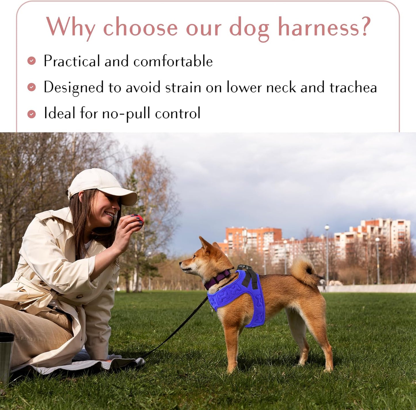 Comfort Fit Adjustable Step-In Dog Harness - Soft, Padded Vest for All-Weather Comfort and Easy Wear for Small to Medium Dogs