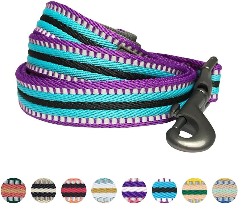 Dog Leash - Reflective Dog Leash for Active Adventures, Puppy Essentials, Durable Dog Leashes for Large Dogs Heavy Duty, Gentle Leader for Dogs, Small Dogs, Violet & Celeste