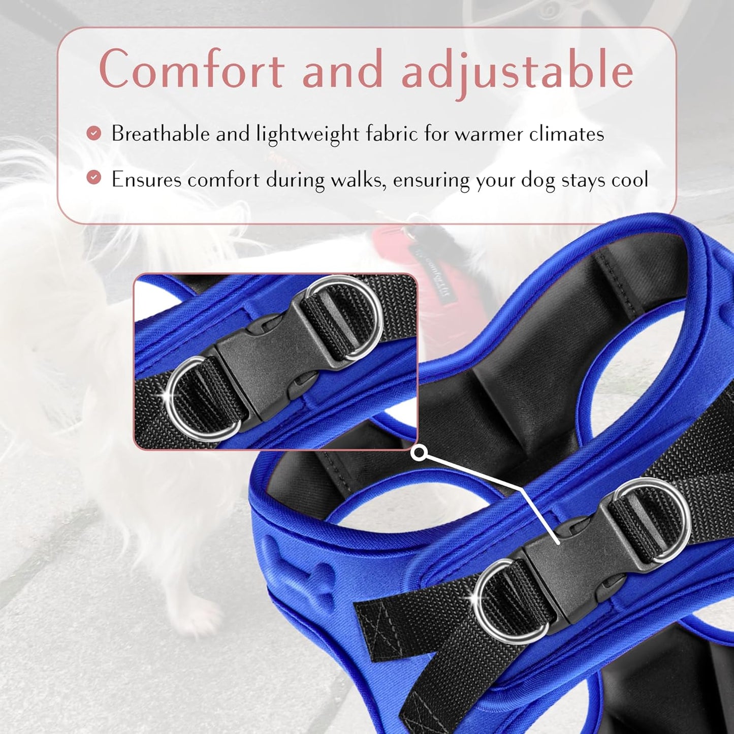 Comfort Fit Adjustable Step-In Dog Harness - Soft, Padded Vest for All-Weather Comfort and Easy Wear for Small to Medium Dogs