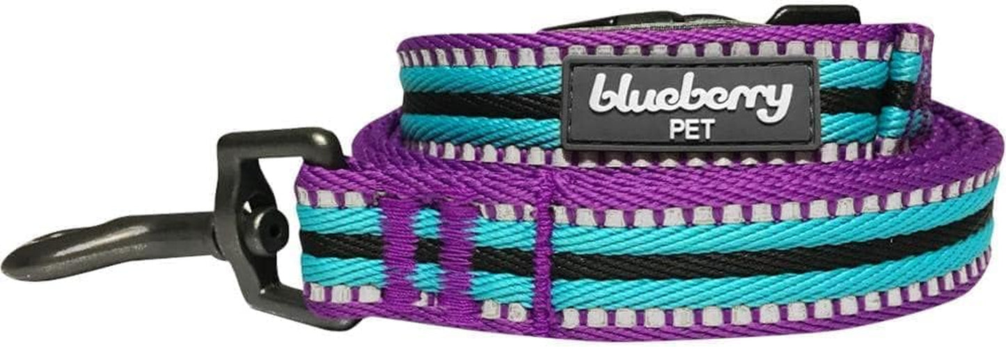 Dog Leash - Reflective Dog Leash for Active Adventures, Puppy Essentials, Durable Dog Leashes for Large Dogs Heavy Duty, Gentle Leader for Dogs, Small Dogs, Violet & Celeste