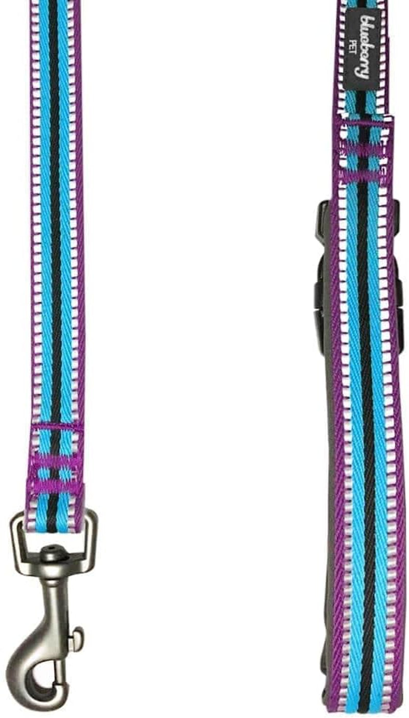 Dog Leash - Reflective Dog Leash for Active Adventures, Puppy Essentials, Durable Dog Leashes for Large Dogs Heavy Duty, Gentle Leader for Dogs, Small Dogs, Violet & Celeste