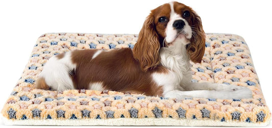 Cozy Star Print Dog Crate Pad - Ultra Soft Reversible Pet Bed for All Dogs and Cats, Perfect for Crates and Travel, 23 x 18 Inch in Stylish Brown