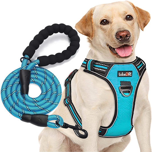 Ultimate No Pull Dog Harness with Reflective Oxford Design and Free 5Ft Leash - Adjustable for Medium to Large Dogs (Size S, Blue)