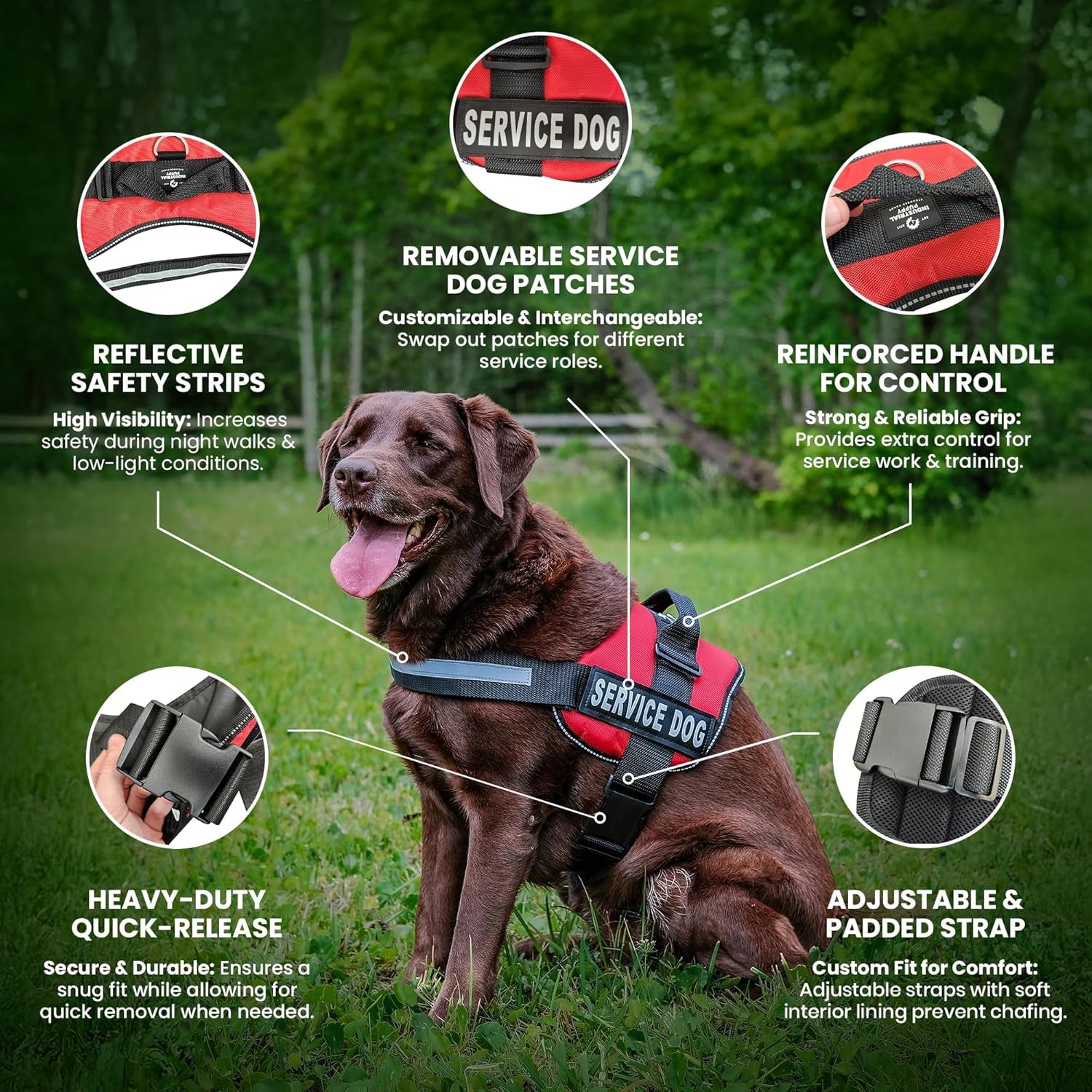 Premium Hot Pink Service Dog Vest and Leash Set - Comfortable, Durable, and Reflective Harness for All Breeds - Sizes XXS to XXL Available