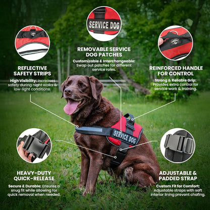 Premium Hot Pink Service Dog Vest and Leash Set - Comfortable, Durable, and Reflective Harness for All Breeds - Sizes XXS to XXL Available
