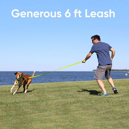 Reflective Extra Small/Small 6 Ft Dog Leash - Ideal for Puppies and Small Breeds, Matching Collar and Harness Available Separately