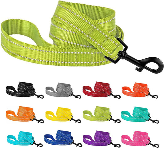 Heavy Duty Reflective Nylon Dog Leash - 5ft Lime Green for Stylish Outdoor Adventures with Your Medium to Large Dogs