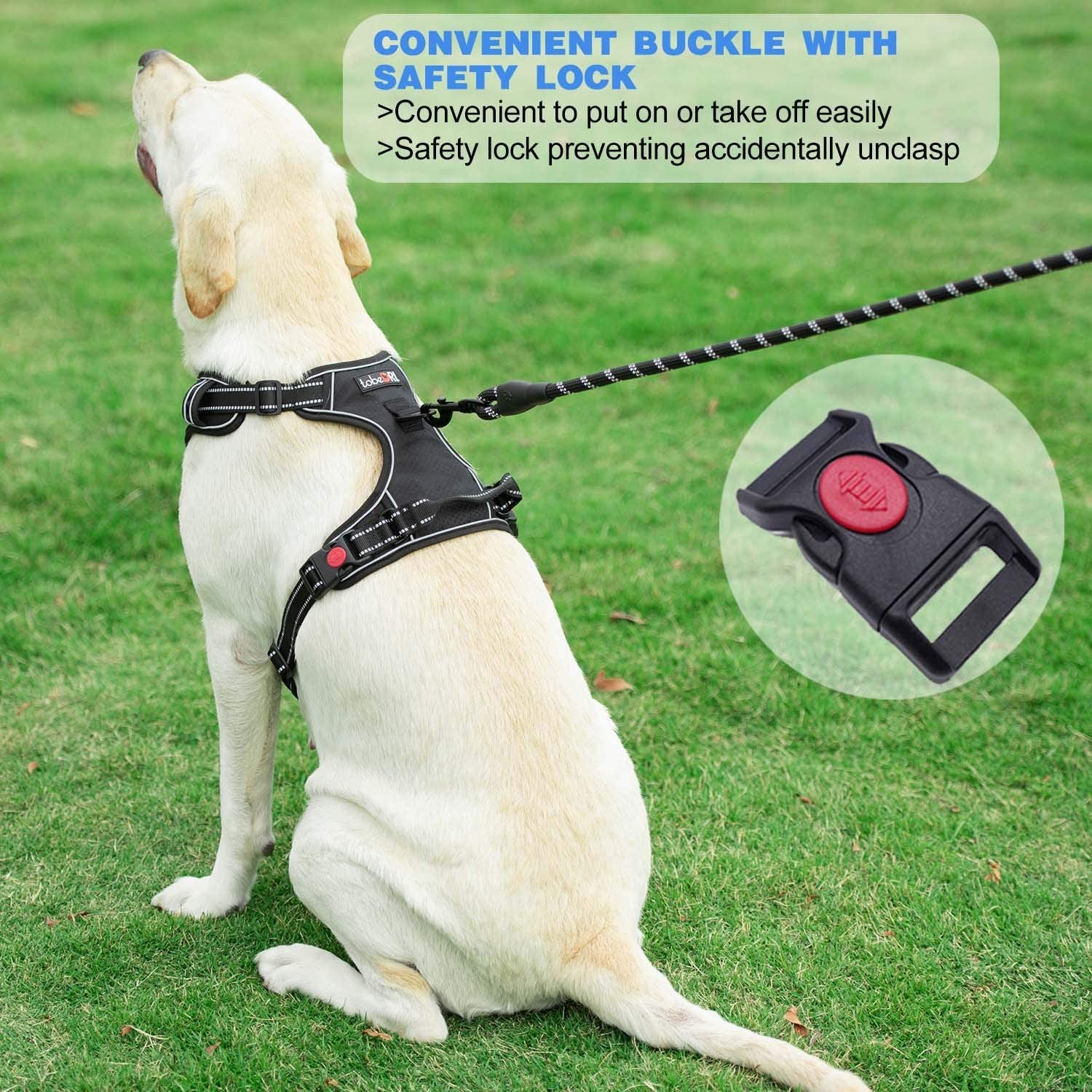 Ultimate No Pull Dog Harness with Reflective Oxford Design and Free 5Ft Leash - Adjustable for Medium to Large Dogs (Size S, Blue)