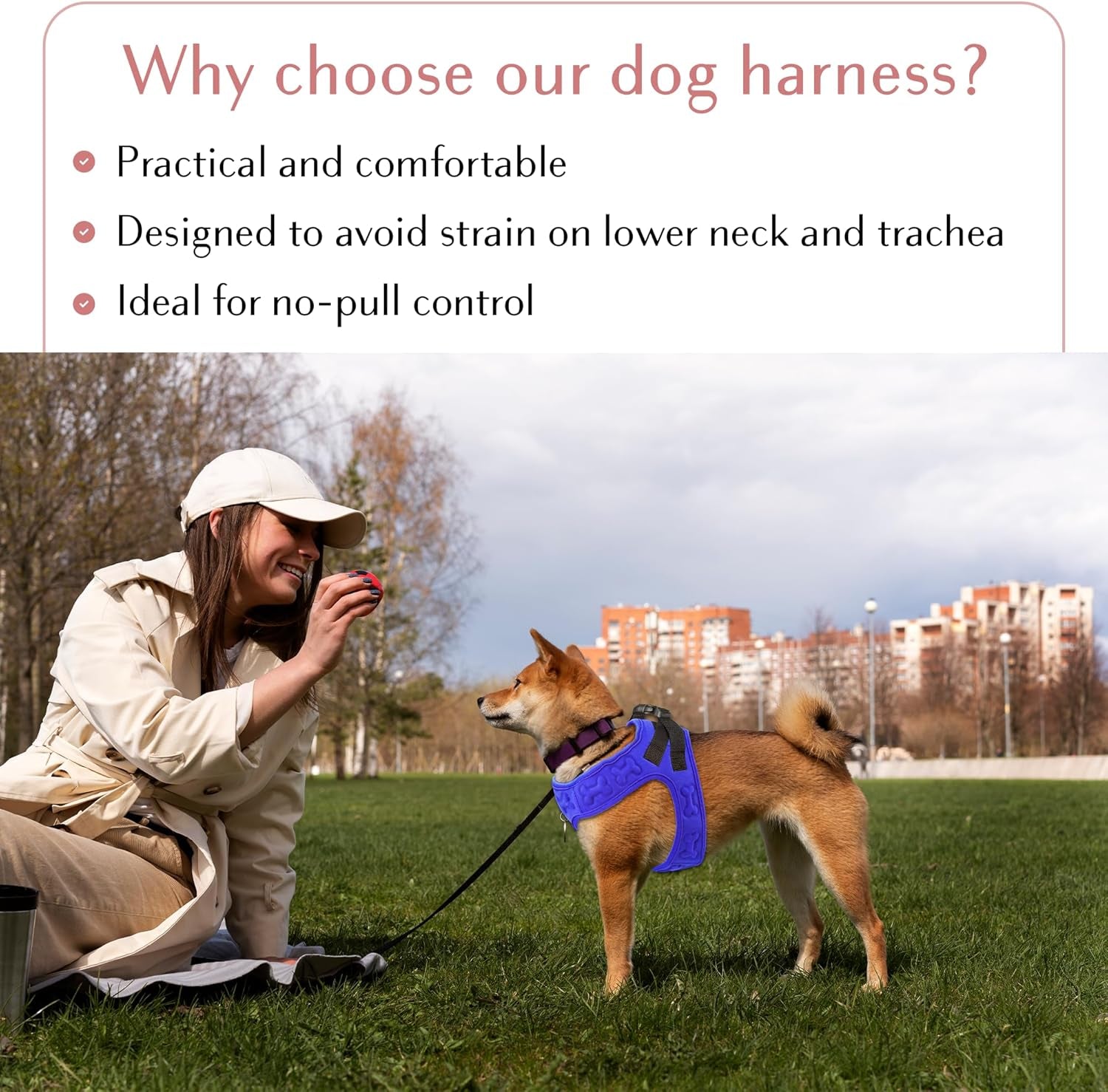 Comfort Fit Adjustable Step-In Dog Harness - Soft, Padded Vest for All-Weather Comfort and Easy Wear for Small to Medium Dogs