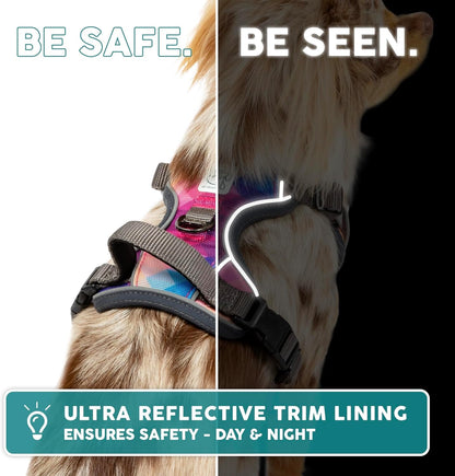 Embark Adventure Dog Harness, Reflective Trim No Pull Dog Harnesses for Small Sized Dogs - Military Grade Nylon, Front Clip with Gel Lined Handle.