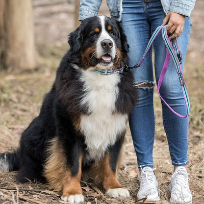 Dog Leash - Reflective Dog Leash for Active Adventures, Puppy Essentials, Durable Dog Leashes for Large Dogs Heavy Duty, Gentle Leader for Dogs, Small Dogs, Violet & Celeste