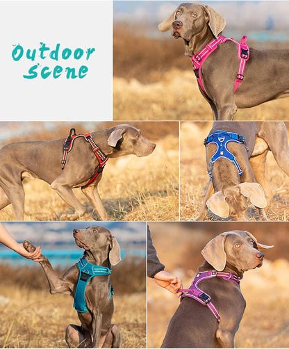 Truelove TLH56512 Adjustable No Pull Dog Harness - Comfortable, Reflective, and Stylish in Orange